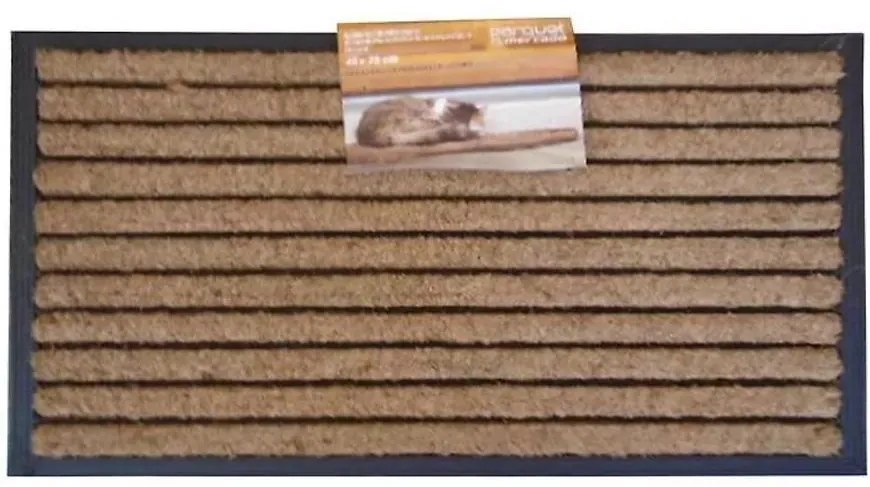 Rohožka PBJ 250 45x75  cm