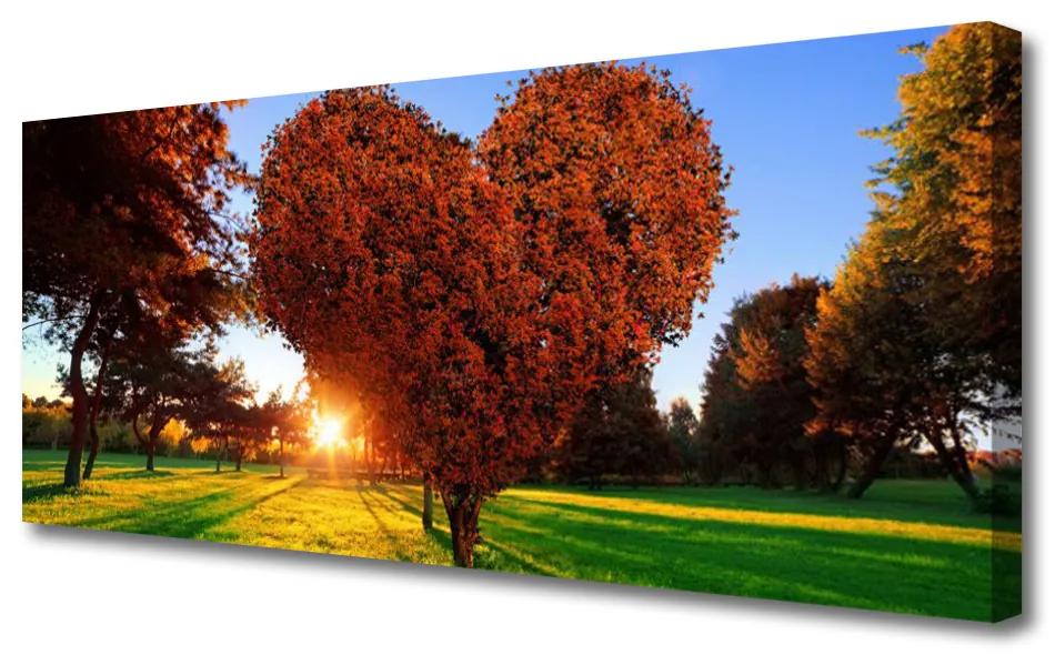 Obraz Canvas Strom srdce přírdoa 100x50 cm