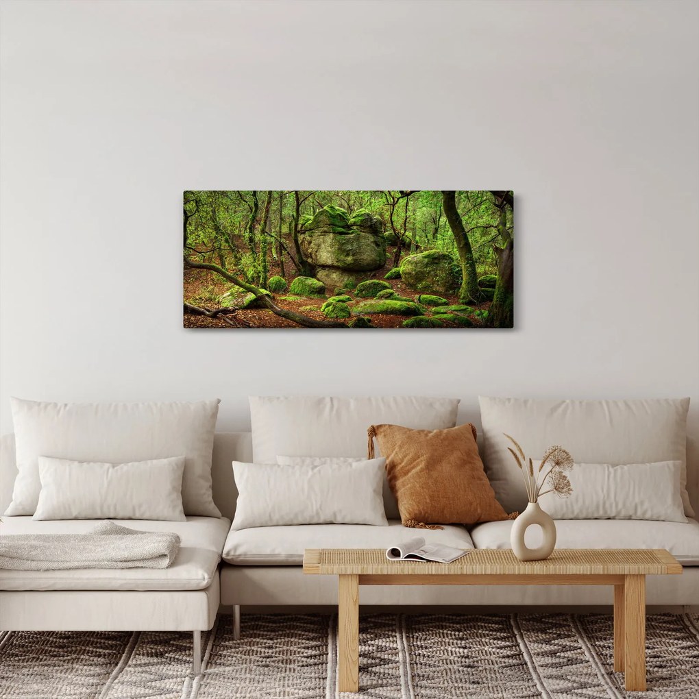 Obraz čarovného lesa (120x50 cm)