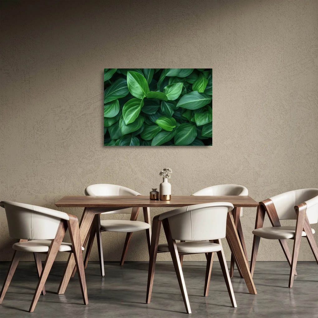 Sklenený obraz - Zelené listy (70x50 cm)