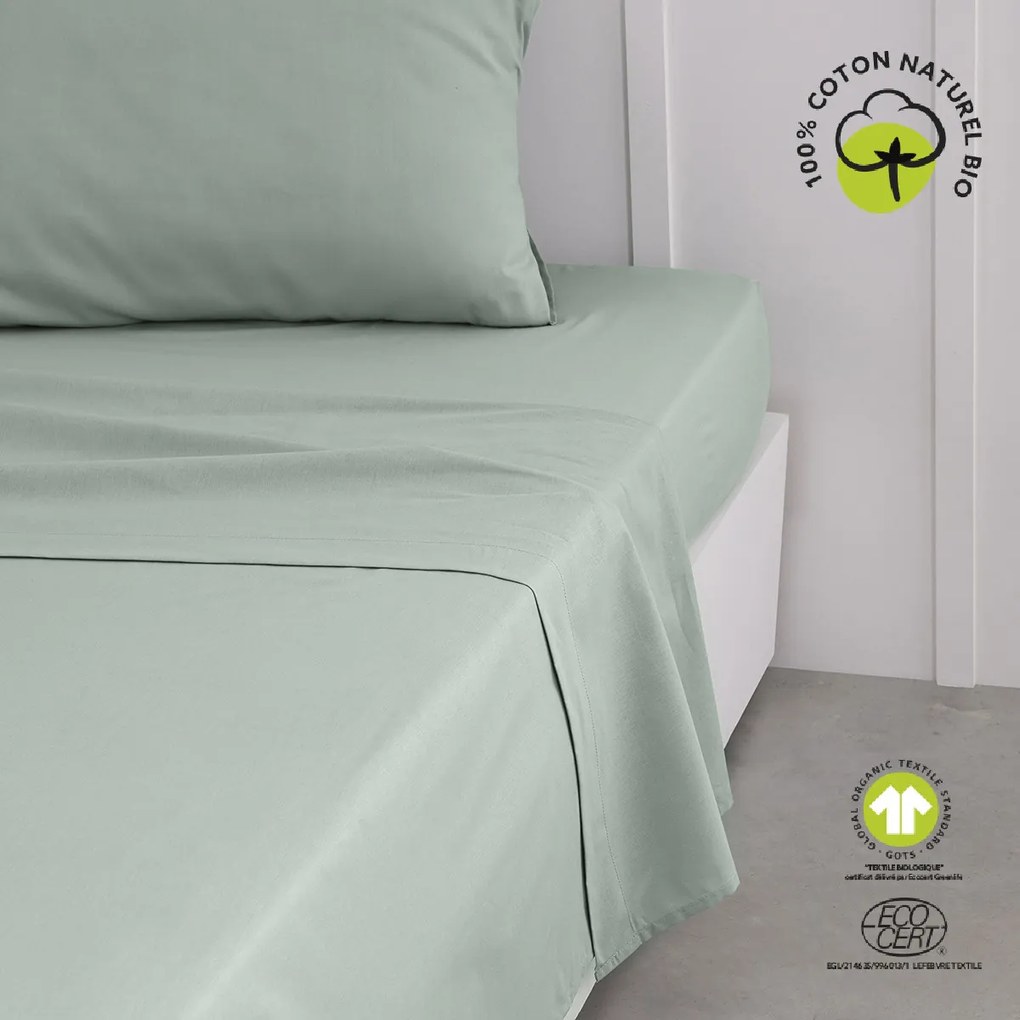 Plachty Today  Drap Plat 240/300 Coton TODAY Organic Celadon