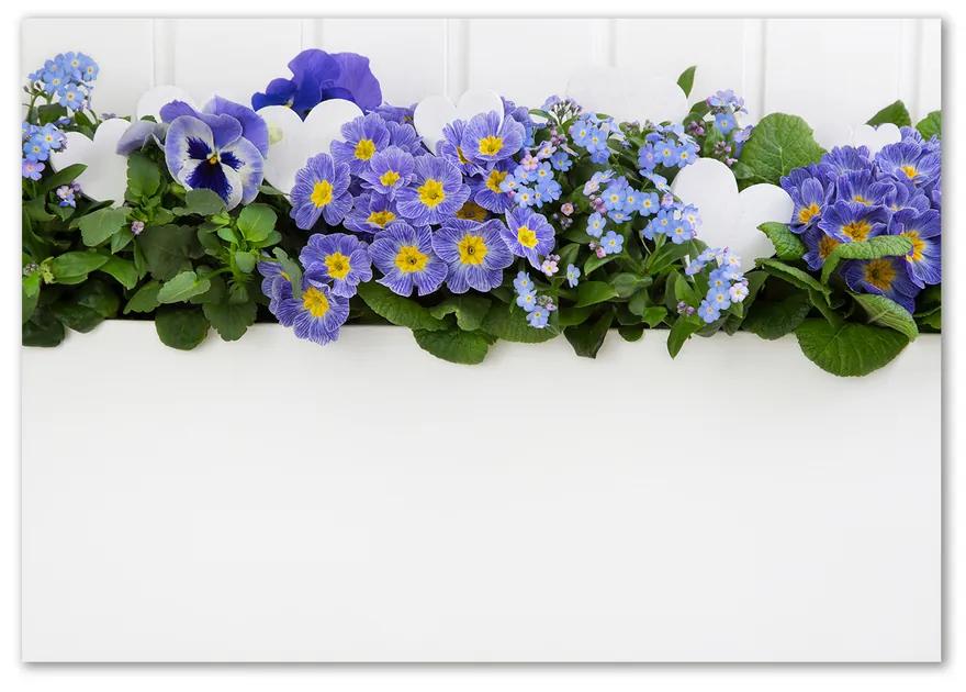 Foto-obraz sklo tvrdené Modré kvety pl-osh-100x70-f-99973378