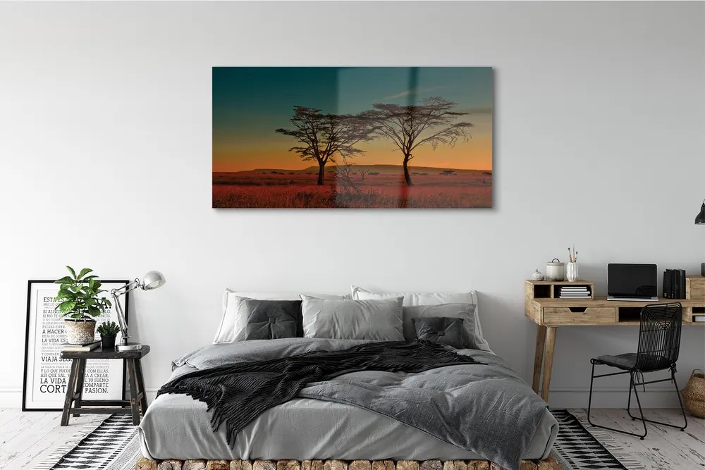 Obraz plexi Oblohy stromu 140x70 cm