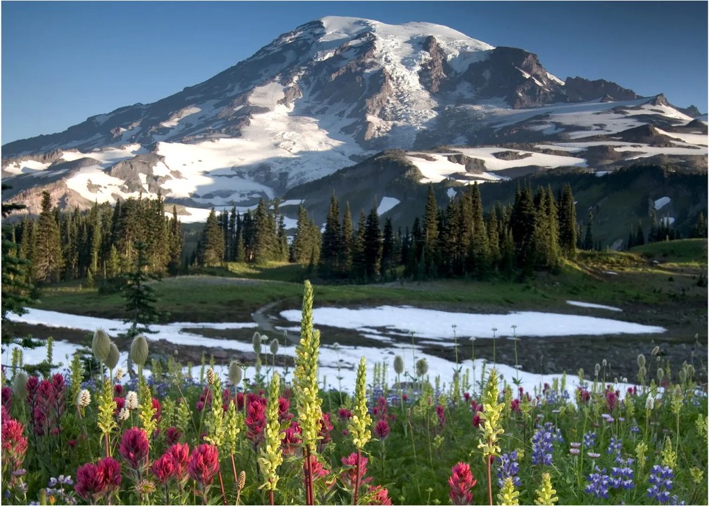 Obraz - Mount Rainier (70x50 cm)