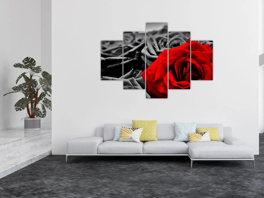 Obraz - Ruže (150x105 cm)