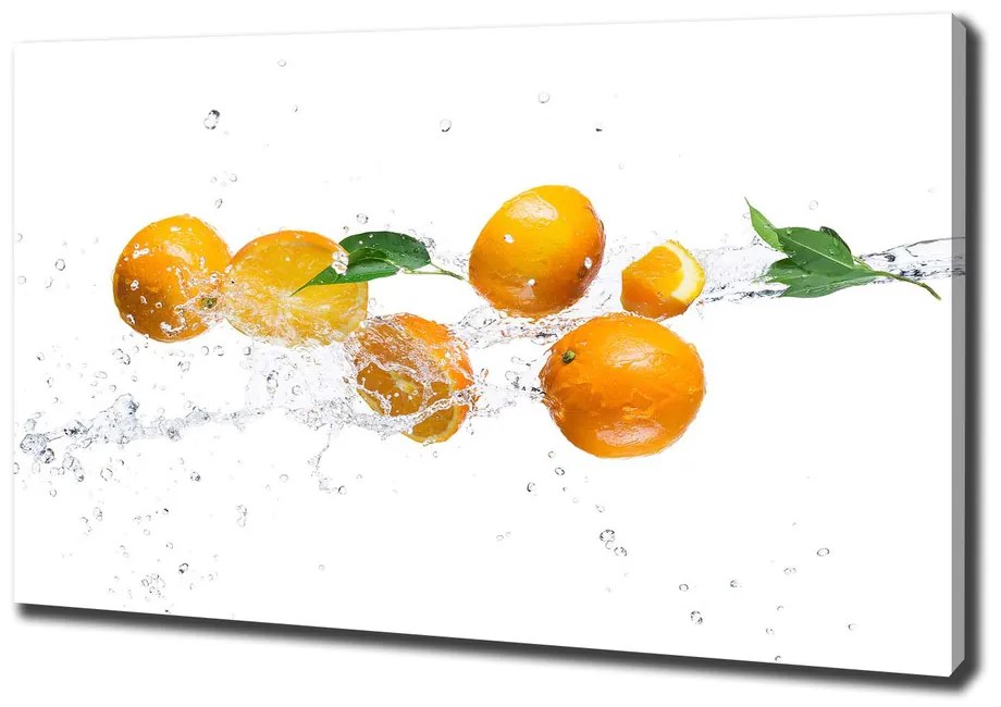 Foto obraz na plátne Pomaranče a voda pl-oc-100x70-f-63072139
