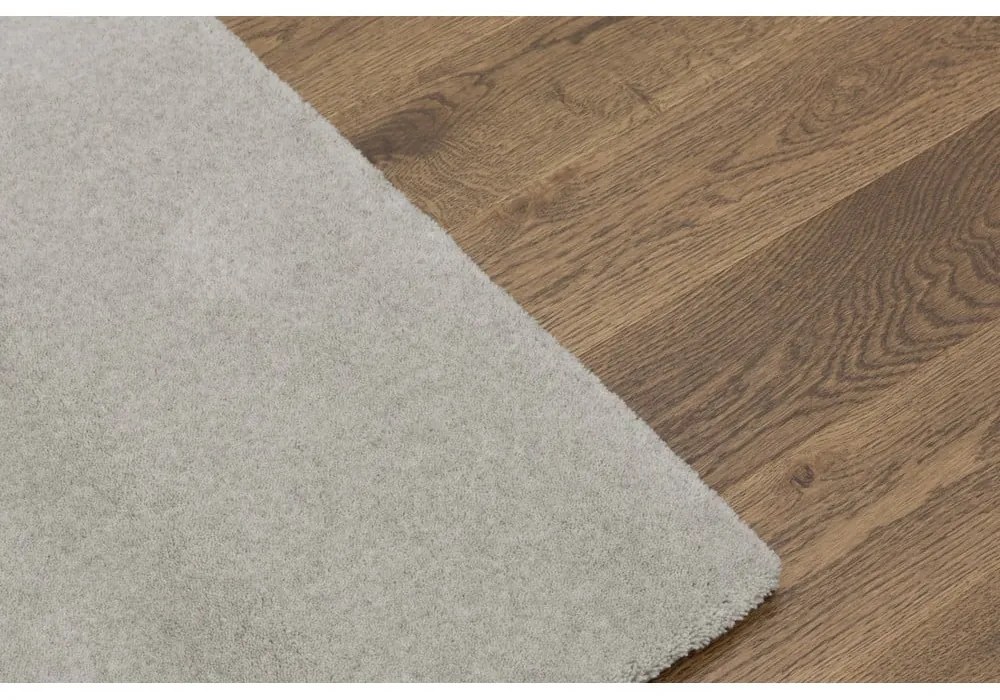 Krémovobiely vlnený koberec 240x340 cm Calisia M Smooth – Agnella