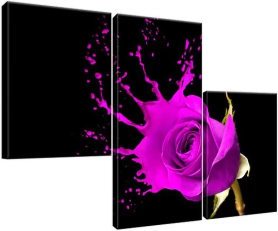 Obraz na plátne Šplech fialová ruža 90x60cm 1217A_3L