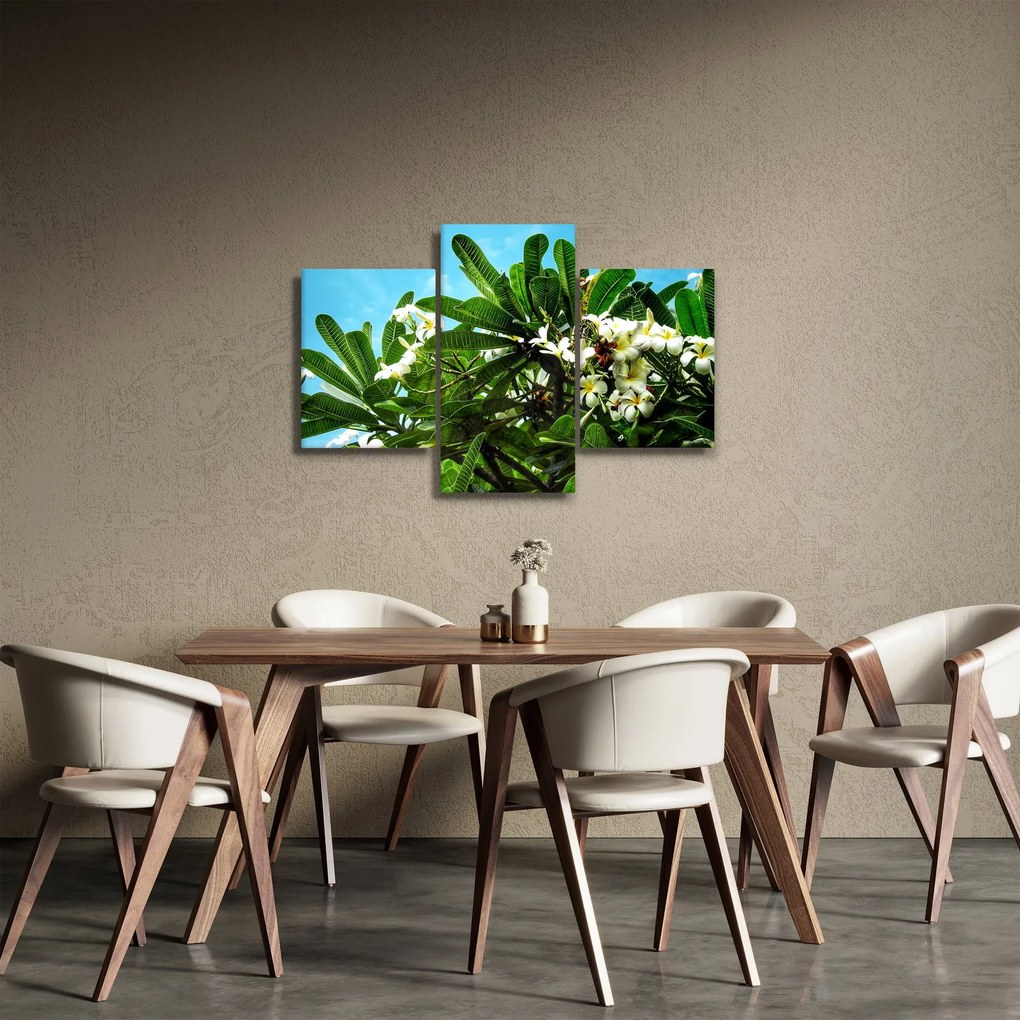 Obraz - Plumeria (90x60 cm)