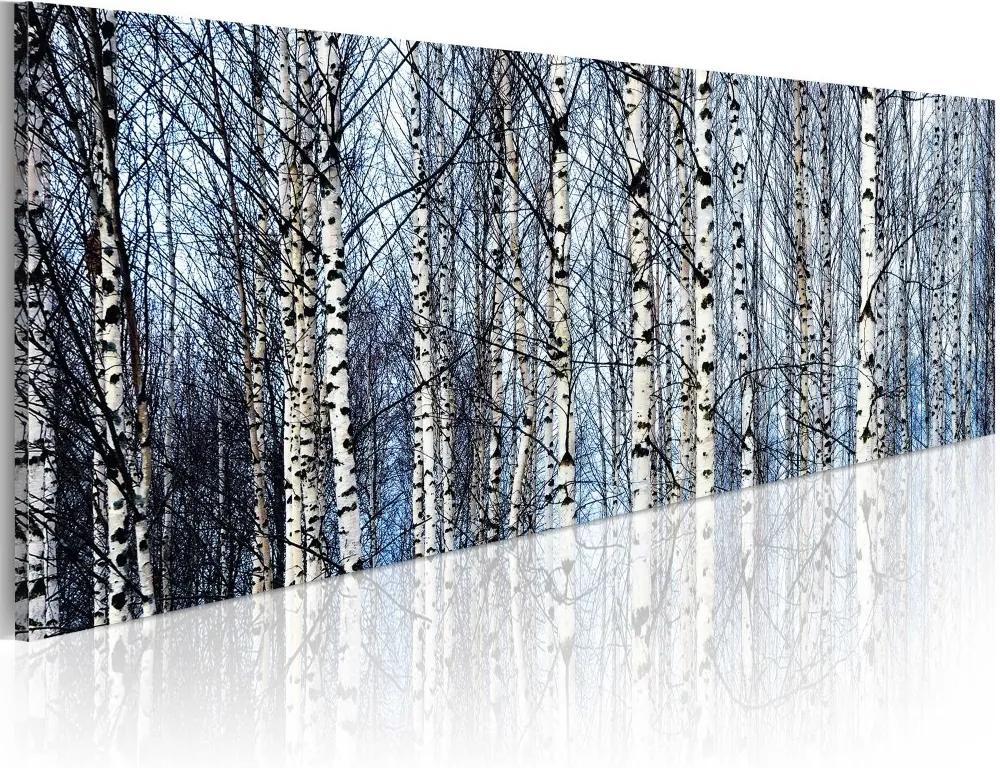 Obraz na plátne Bimago - White birches 120x40 cm