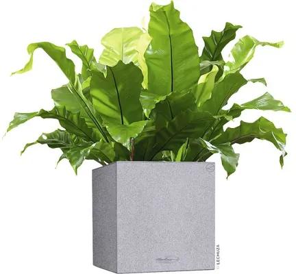 Samozavlažovací kvetináč plastový Lechuza Canto Stone 30 x 30 x 30 cm sivý