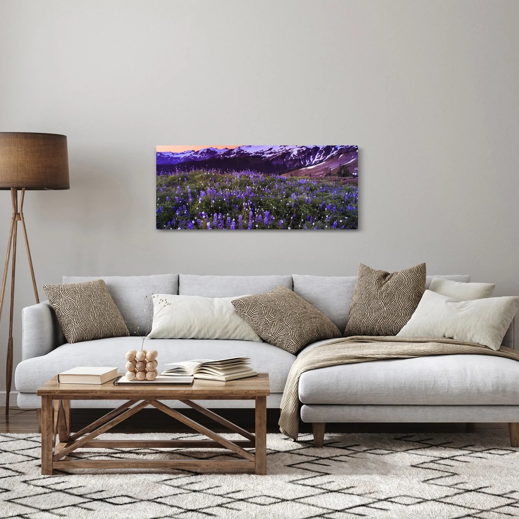 Obraz - Sopka a kvety (120x50 cm)