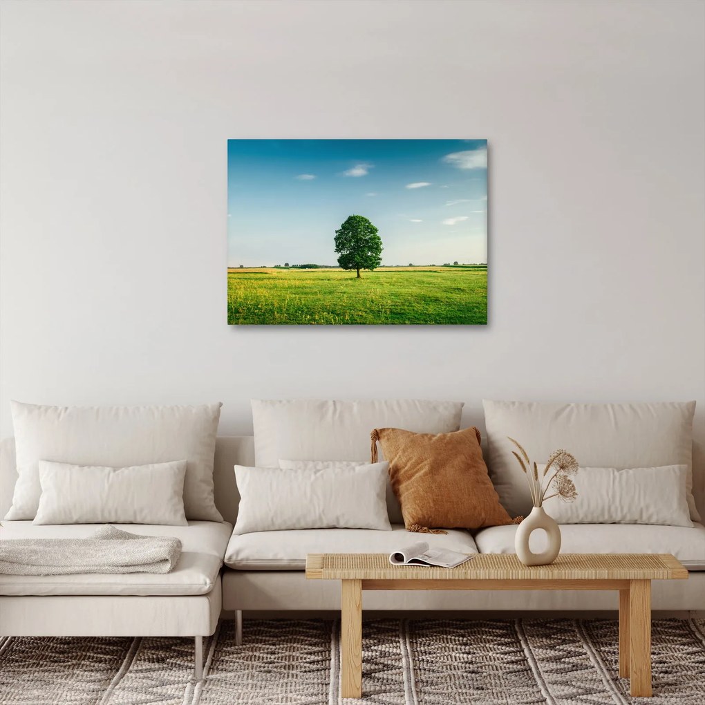 Obraz stromu na lúke (70x50 cm)