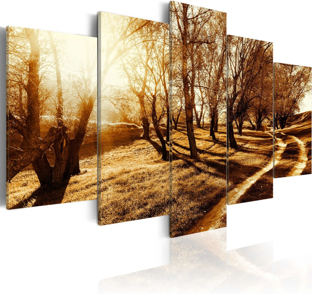 Obraz - Amber orchard 200x100