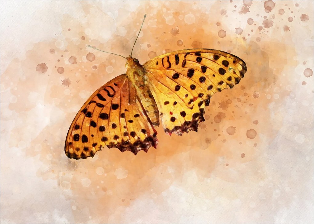 Obraz - Oranžový motýľ, aquarel (70x50 cm)