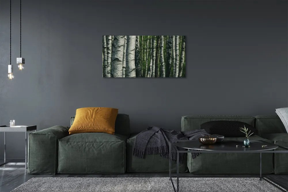 Obraz canvas brezového lesa 140x70 cm