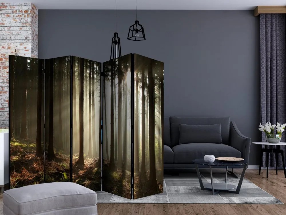 Artgeist Paraván - Coniferous forest [Room Dividers]
