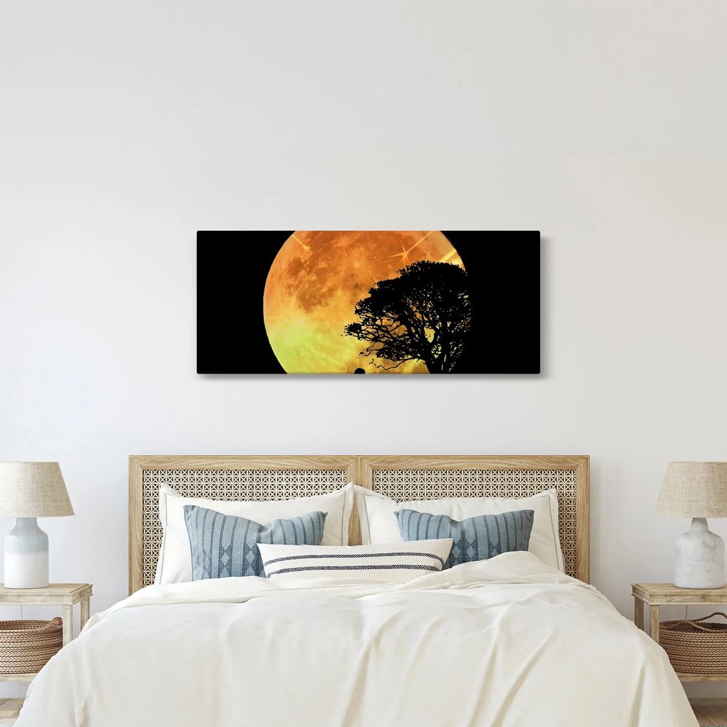 Obraz tieňov v mesačnom svetle (120x50 cm)