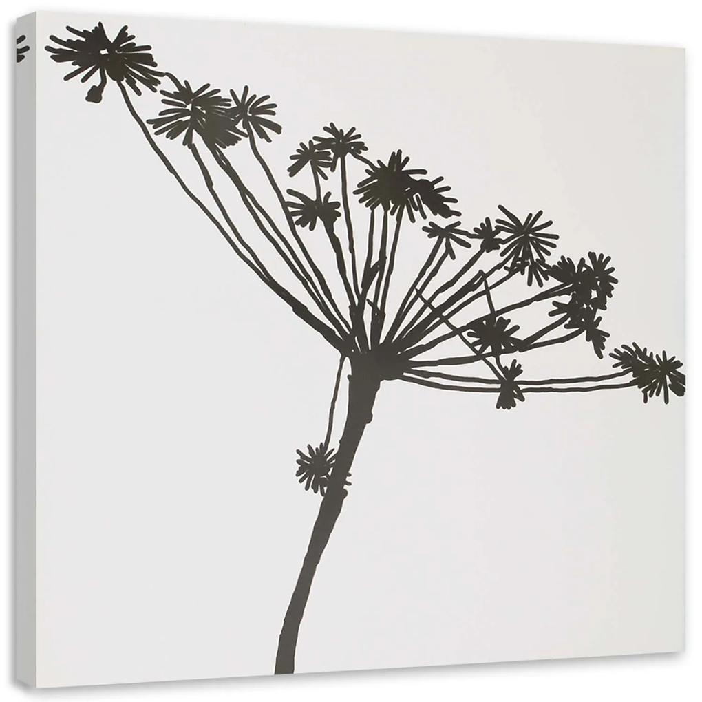 Gario Obraz na plátne Čierny tieň Cyperus Rozmery: 30 x 30 cm