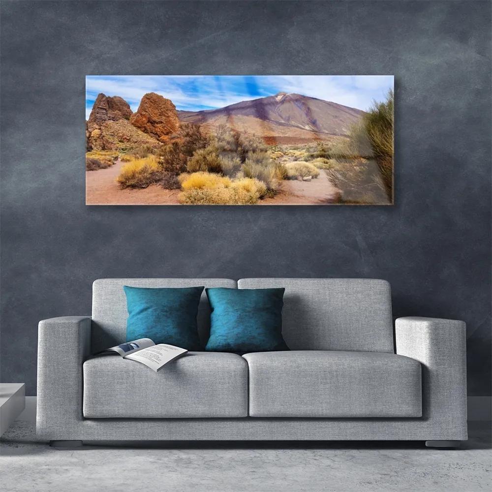 Obraz plexi Hory rastliny skaly krajina 125x50 cm