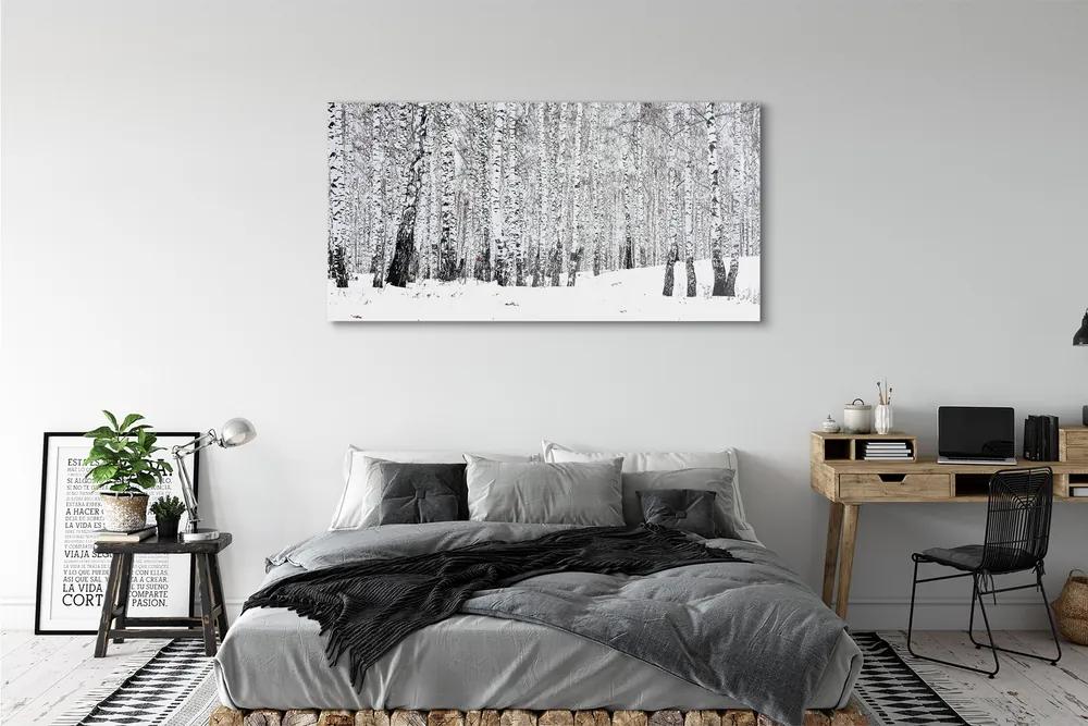 Obraz plexi Zimný brezy 140x70 cm