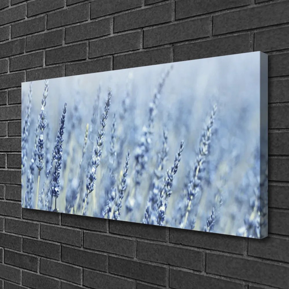 Obraz Canvas Kvety klasy lúka príroda 120x60 cm