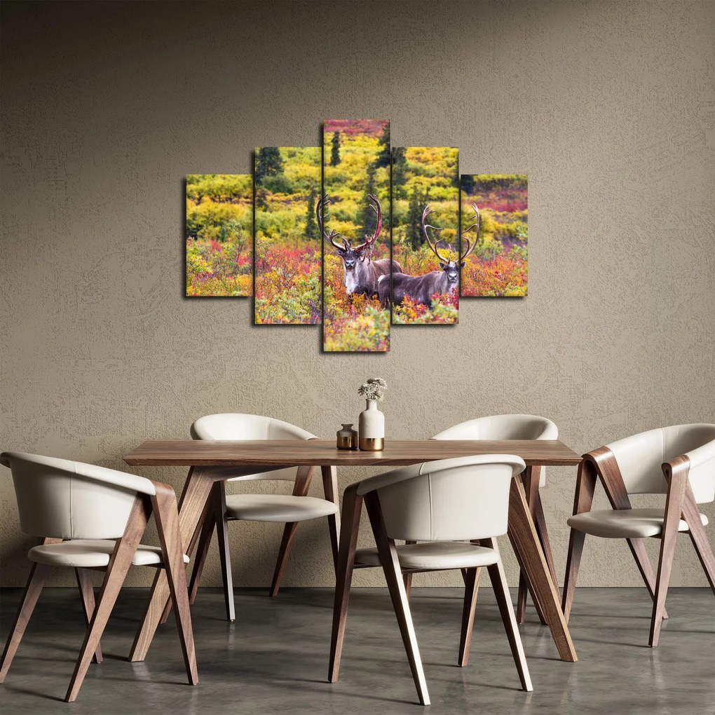 Obraz - Karibu na Aljaške (150x105 cm)