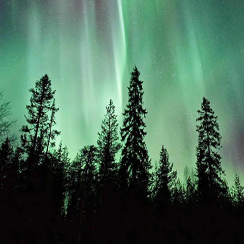 Ozdobný paraván, Aurora nad lesem - 180x170 cm, päťdielny, klasický paraván