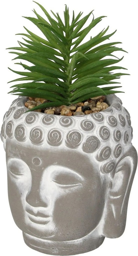 Dekorácie Succulent I Buddha 17cm