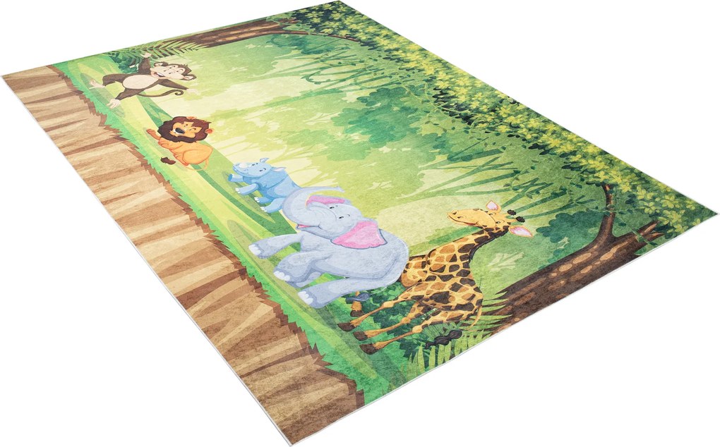 TA Koberec 2649 VYTLAČIŤ EMMA Rozmer: 80x150 cm