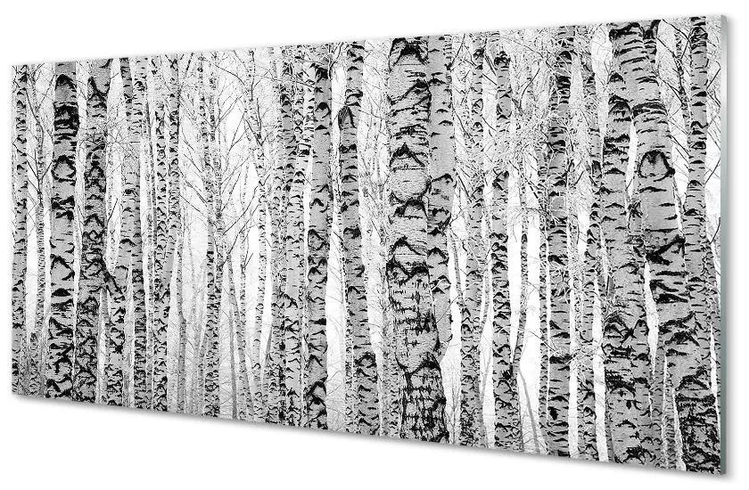 Sklenený obraz Čierna a biela breza 140x70 cm