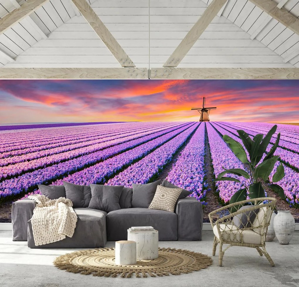 Fototapeta - Levanduľové pole (147x102 cm)