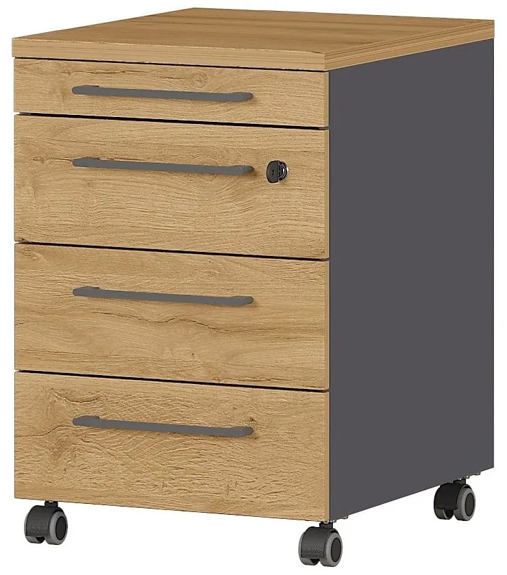 Antracitovosivá prírodná skrinka v dekore duba 42x61 cm Agenda - Germania