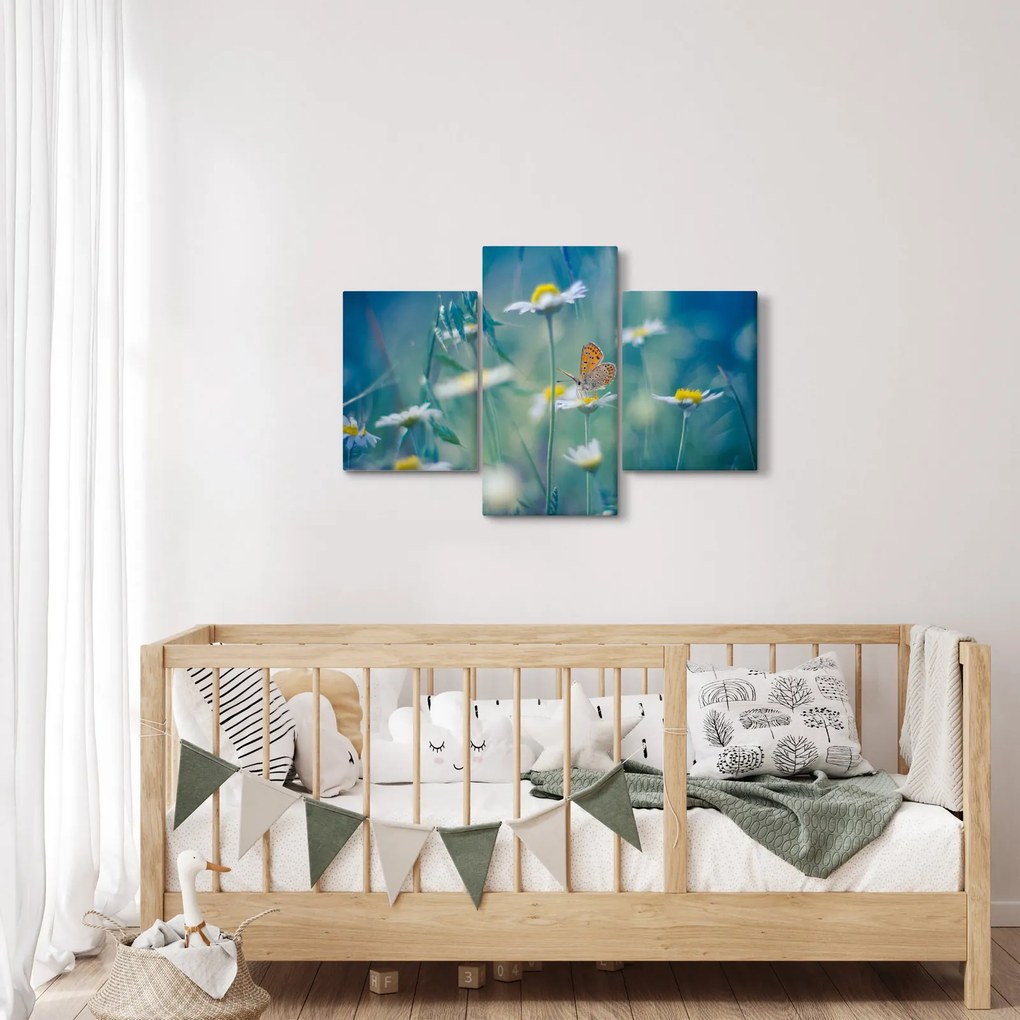 Obraz - Motýľ na sedmokráske (90x60 cm)