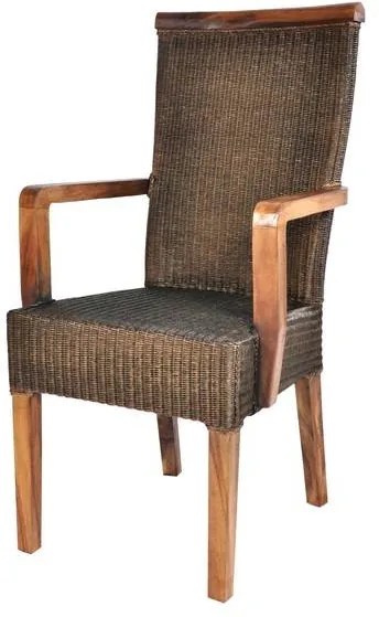Sconto Jedálenská stolička RAMOSA s podrúčkami