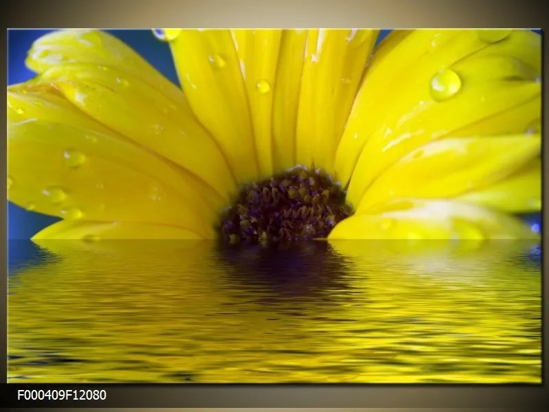 Obraz na plátne Žltá na vode, Obdĺžnik 120x80cm 87,92 €