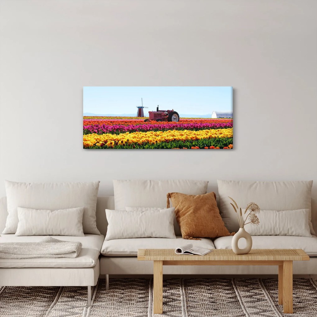 Obraz tulipánové farmy (120x50 cm)