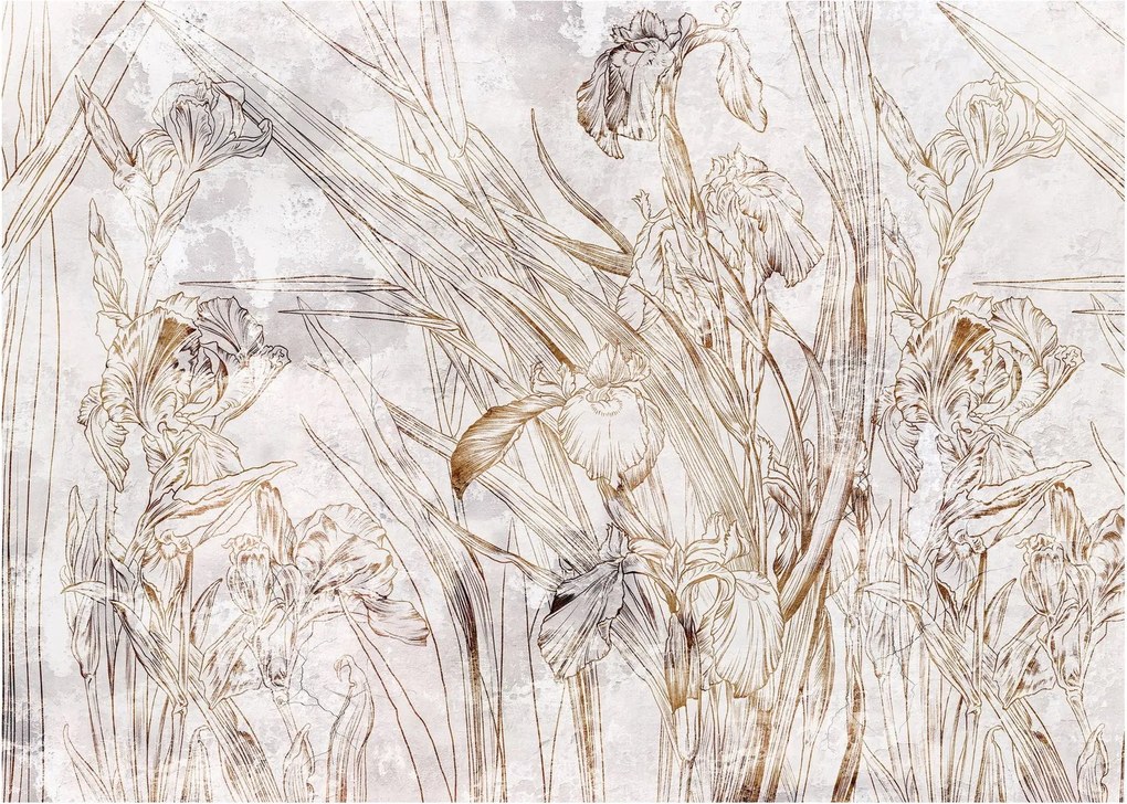 Obraz - Kosatce (70x50 cm)