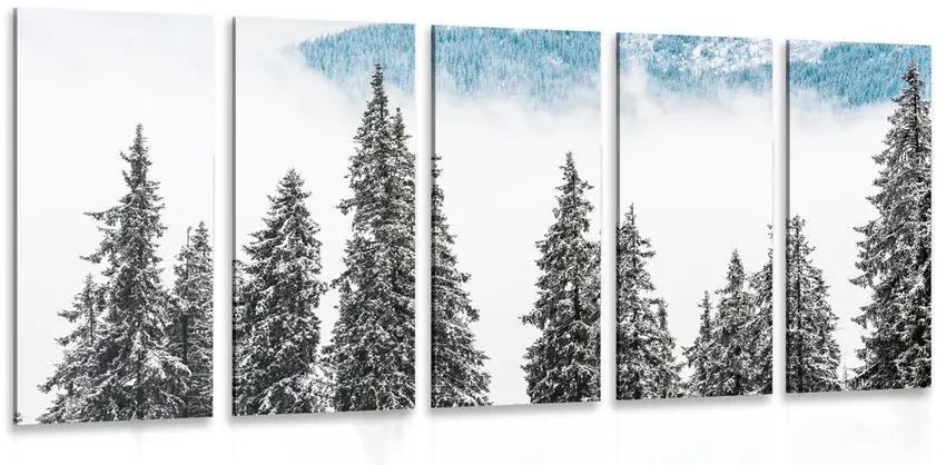 5-dielny obraz zasnežené borovicové stromy Varianta: 200x100