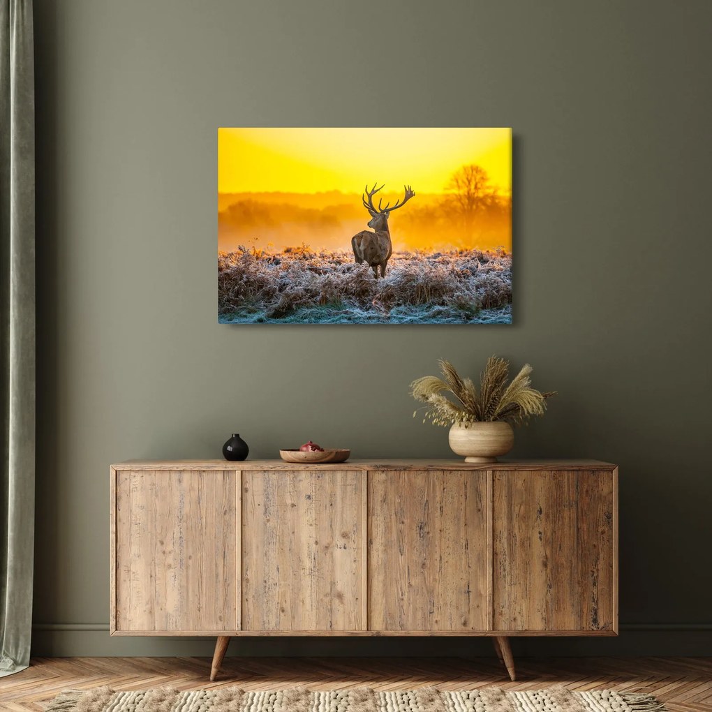 Obraz - Jeleň pri východe slnka (90x60 cm)