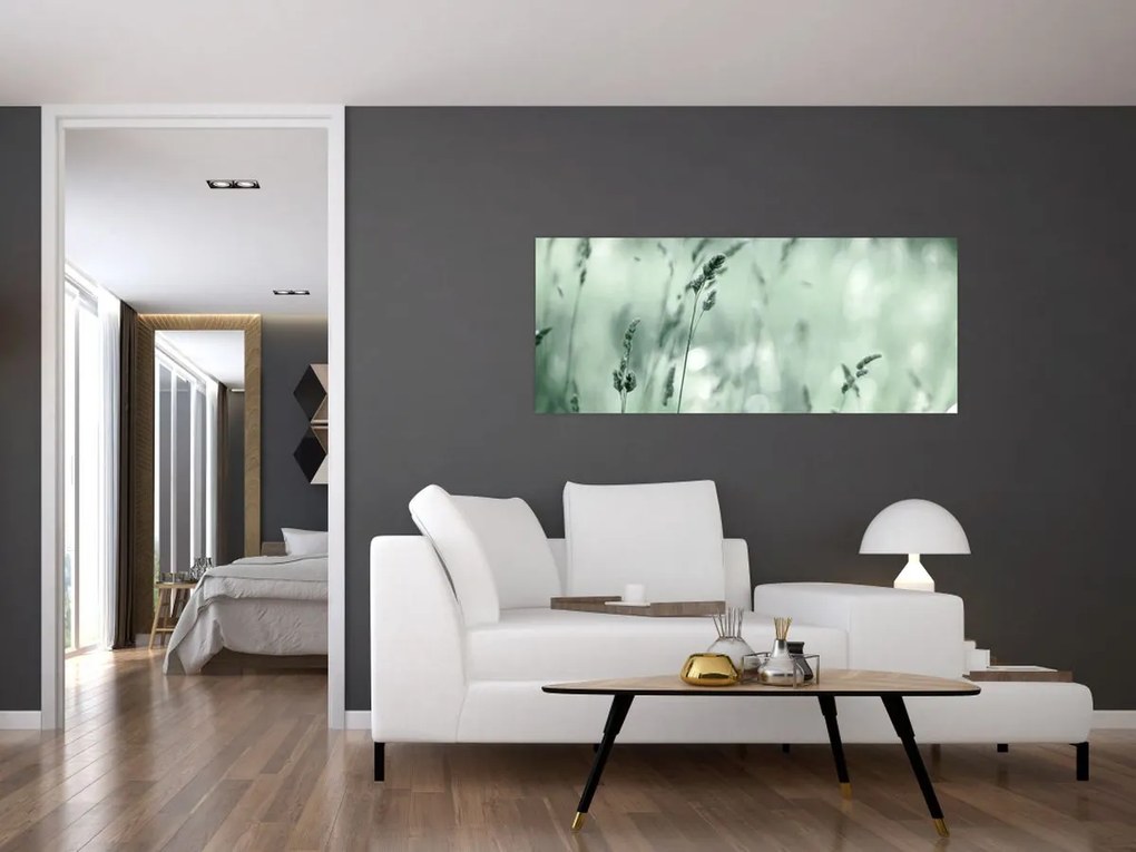 Obraz - Zelená lúka (120x50 cm)