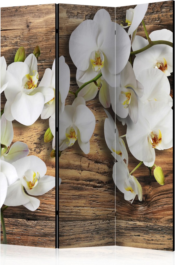 Paraván - Forest Orchid [Room Dividers] 135x172 7-10 dní