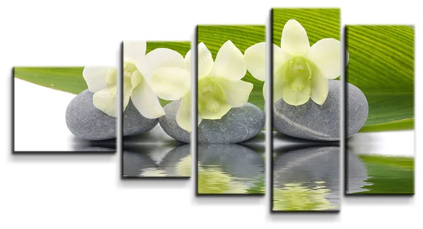 Sablio Obraz - 5-dílný Biela orchidea - 100x60 cm