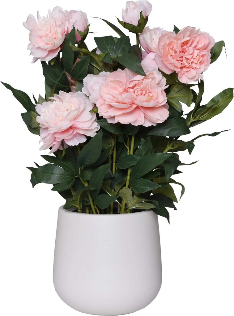 Umelá pivonka v krémovom kvetináči PEONY, výška 70 cm, ružová