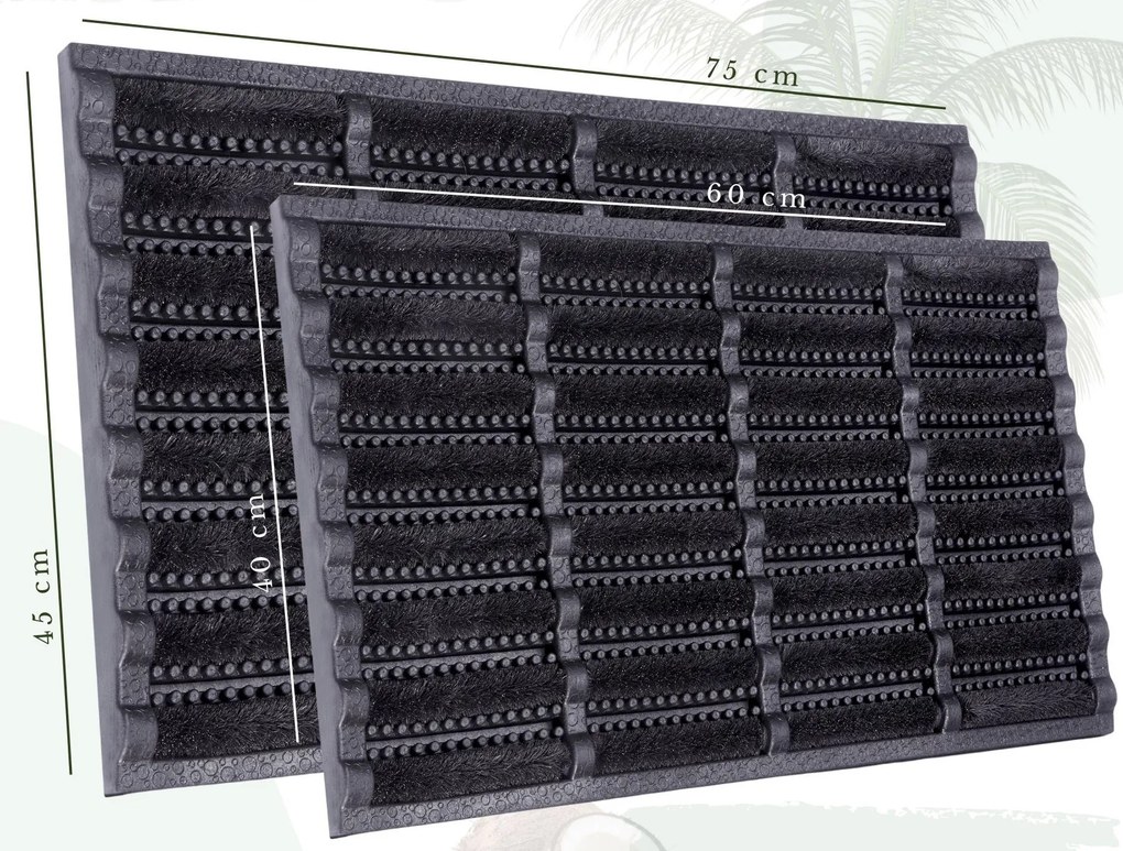 Hanse Home, Vonkajšie čistiaci rohožka Mix Mats Brushes 105648 Black – na von aj na doma, 40x60, čierna, exteriér