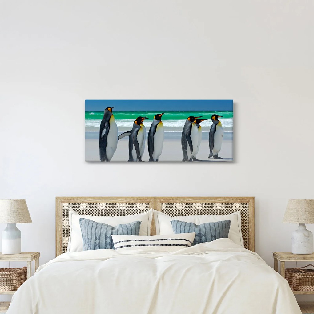 Obraz - Skupina kráľovských Tučniakov (120x50 cm)