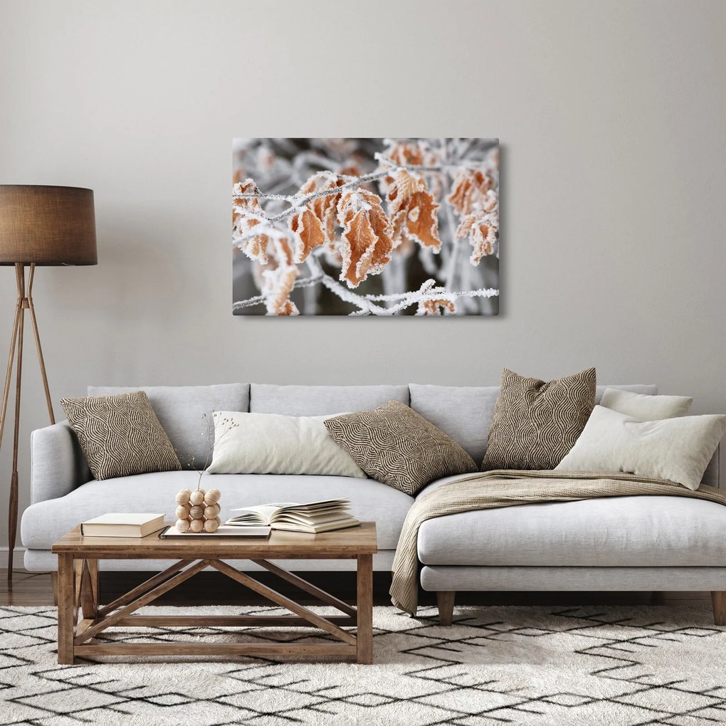Obraz - Zamrznuté listy (90x60 cm)