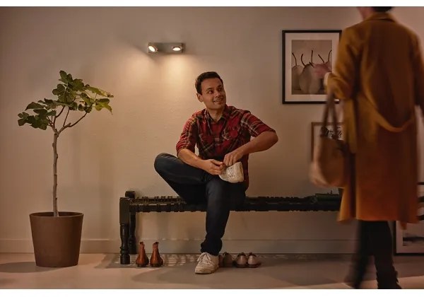 Philips 53192/48/P0 - LED Bodové svietidlo MILLENNIUM 2xLED/4,5W/230V