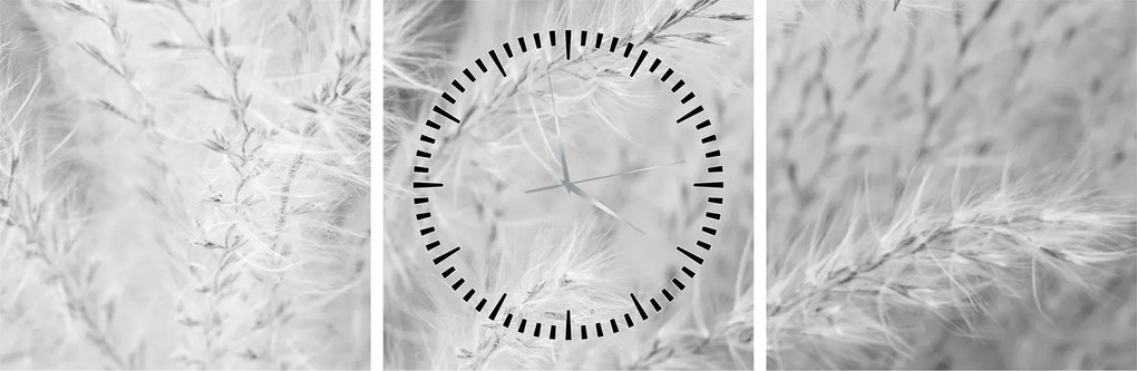 Obraz - Pampas grass N⁰1 (s hodinami) (90x30 cm)