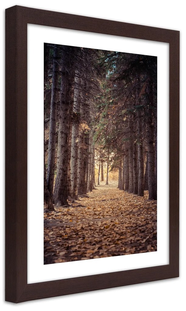 Gario Plagát Les na jeseň Farba rámu: Bez rámu, Rozmery: 30 x 45 cm